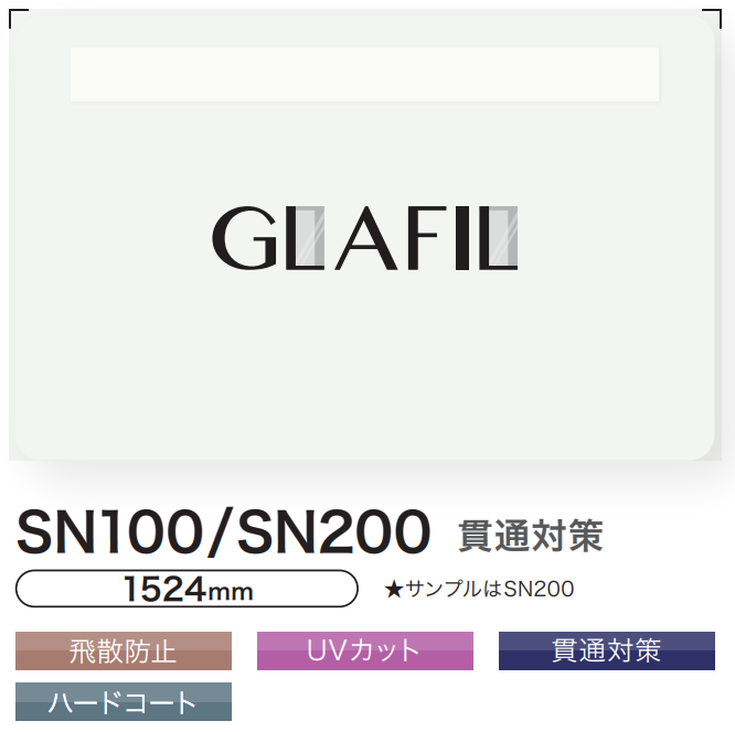 SN100
